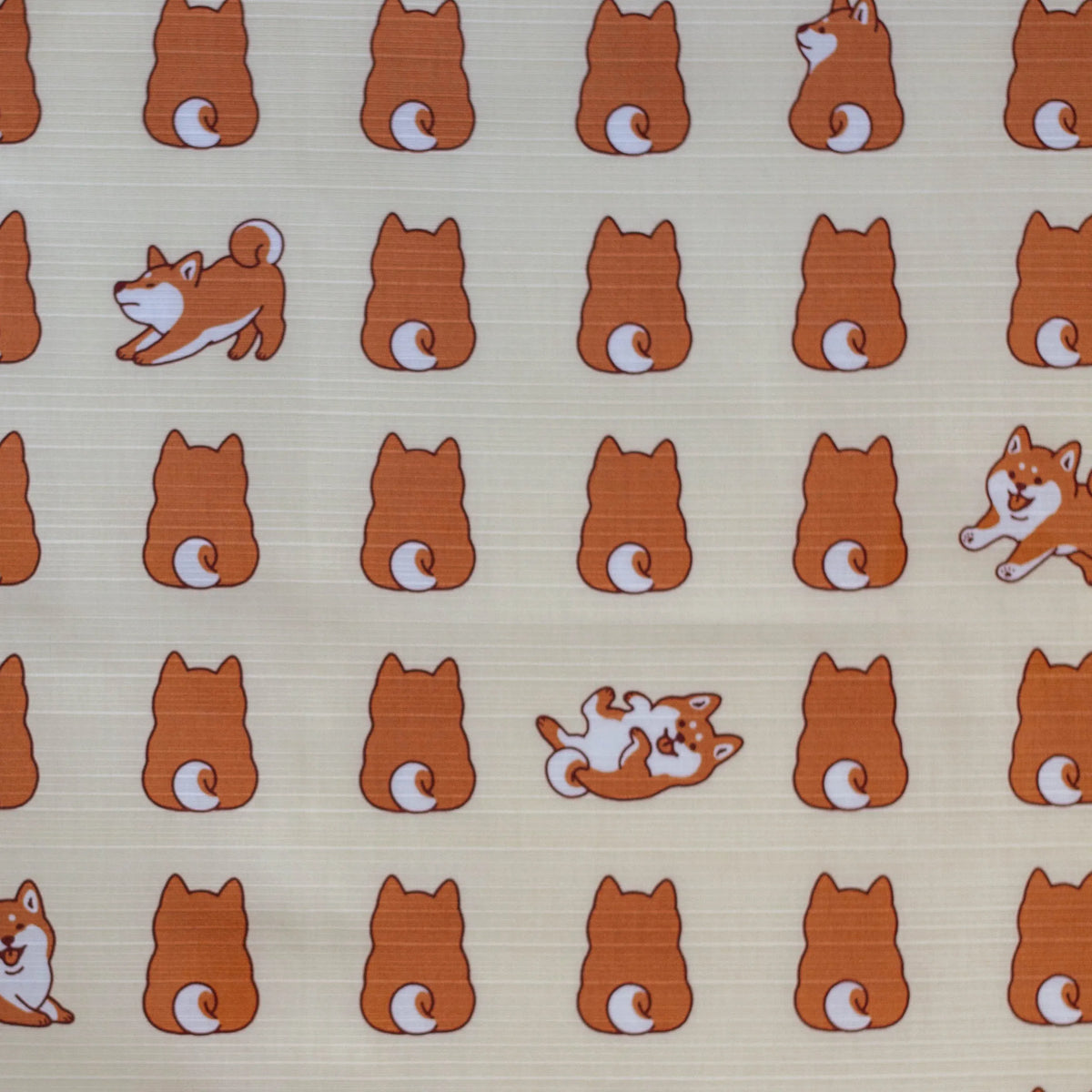Shiba Inu Furoshiki 50cm with rows of playful Japanese dogs on a beige background