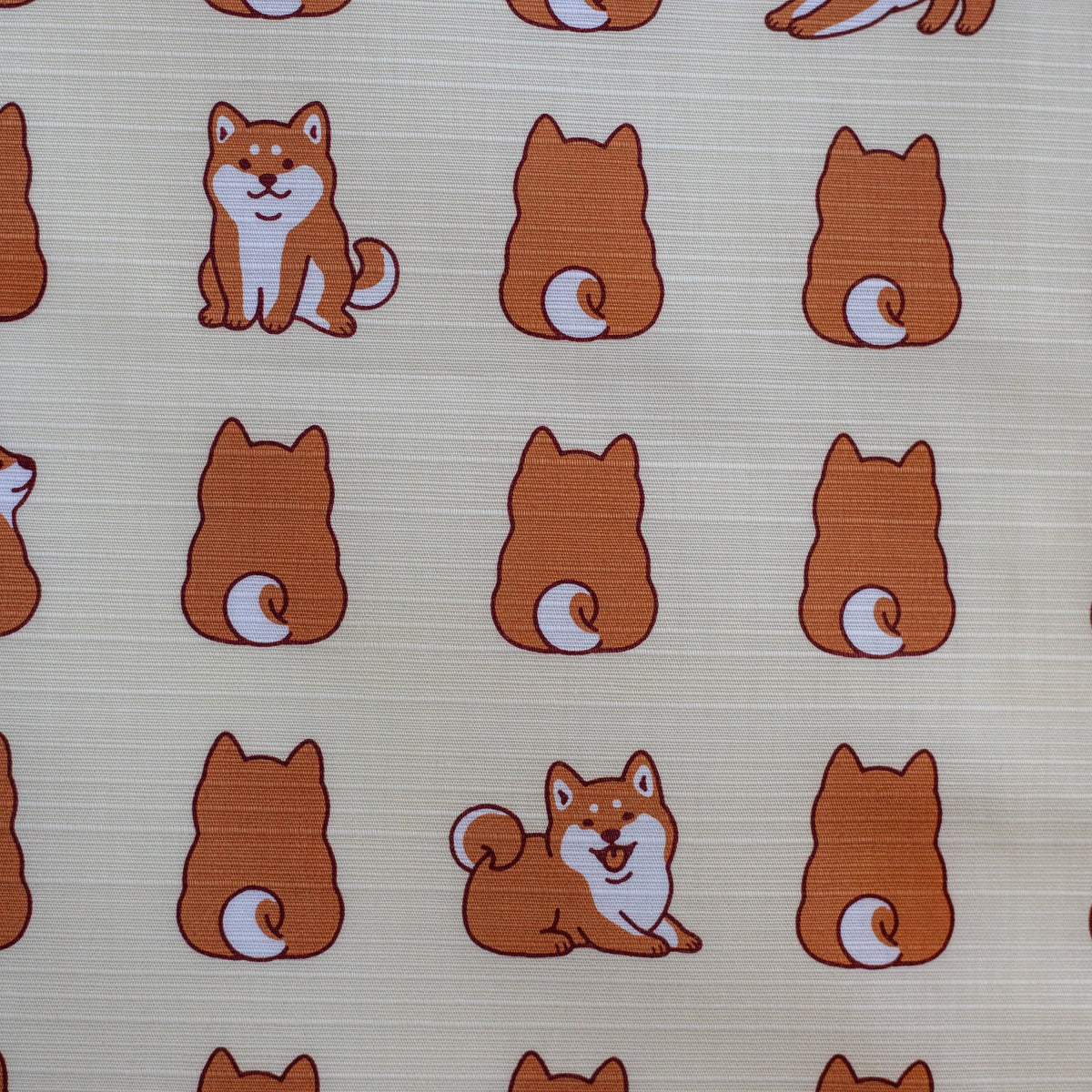 Shiba Inu Furoshiki 50cm with rows of playful Japanese dogs on a beige background