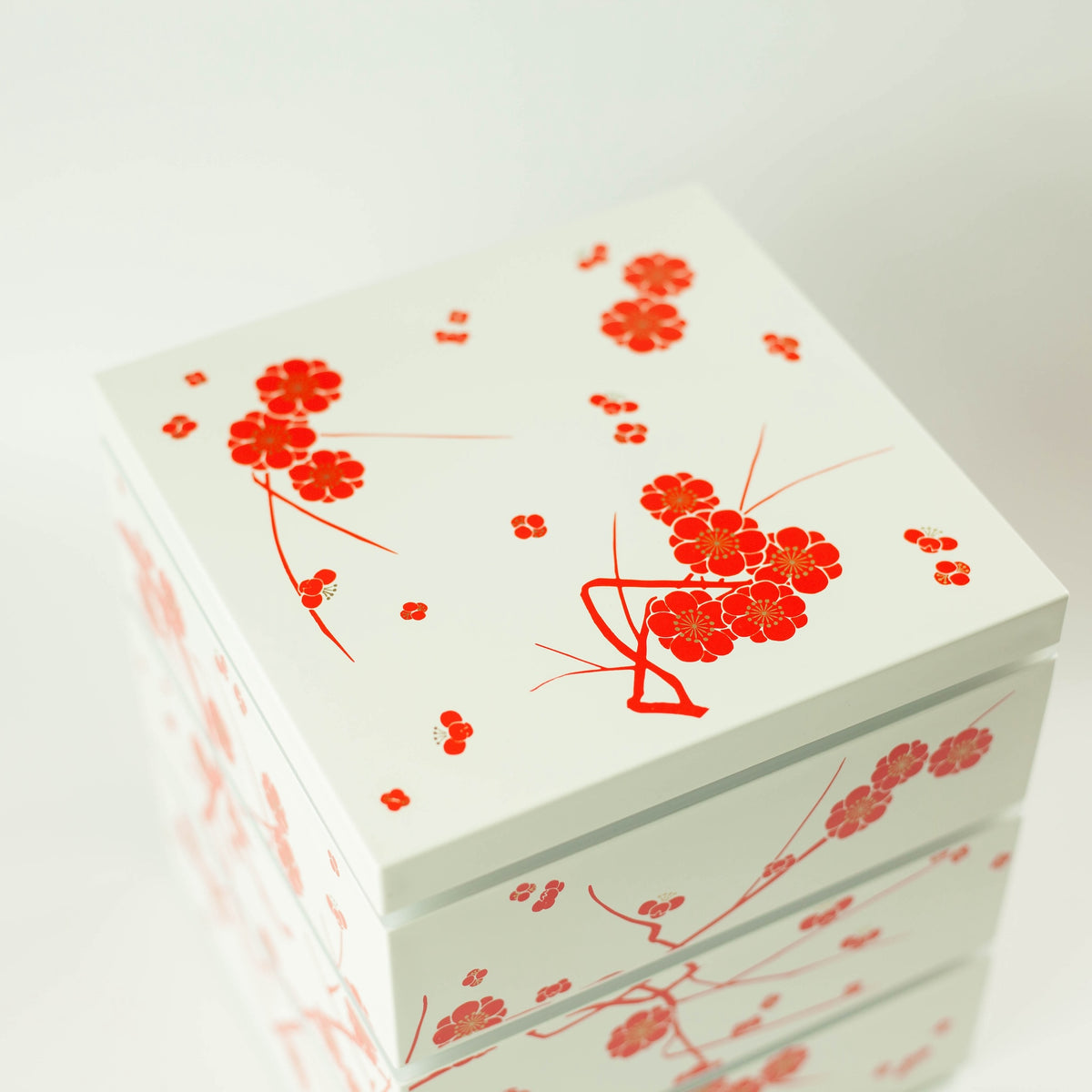 Ume Picnic Bento Box | White (15cm)