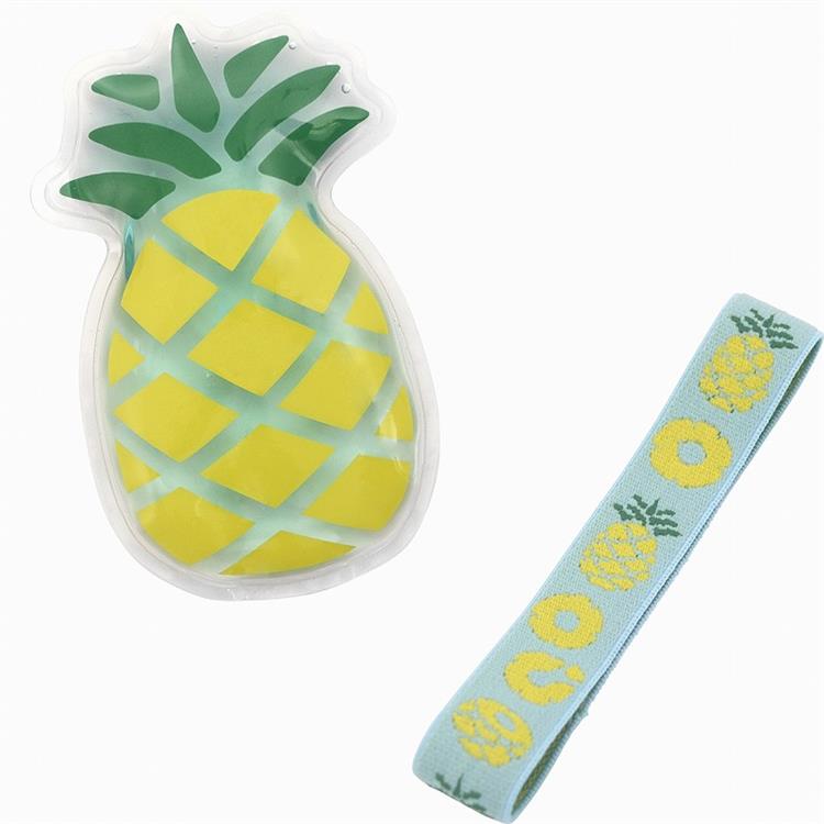 Fruit ice pack and matching lunch band set in orange, strawberry and pineapple designs