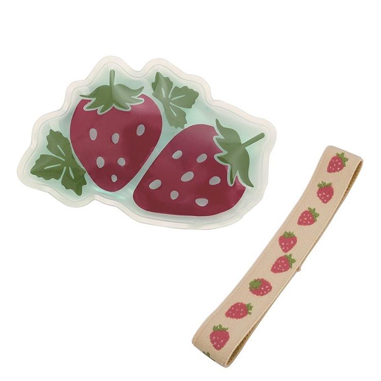 Fruit ice pack and matching lunch band set in orange, strawberry and pineapple designs