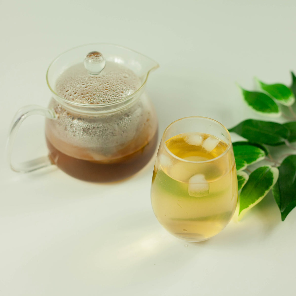 Glass of cold brew mugicha barley tea over ice beside a glass teapot with a tea bag steeping inside, with fresh green leaves on white background