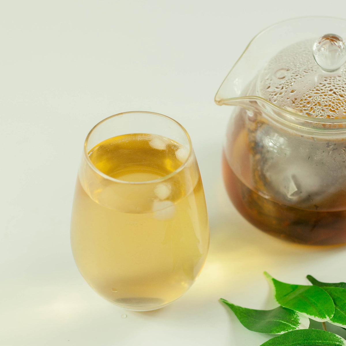 Glass of cold brew mugicha barley tea over ice beside a glass teapot with a tea bag steeping inside, with fresh green leaves on white background