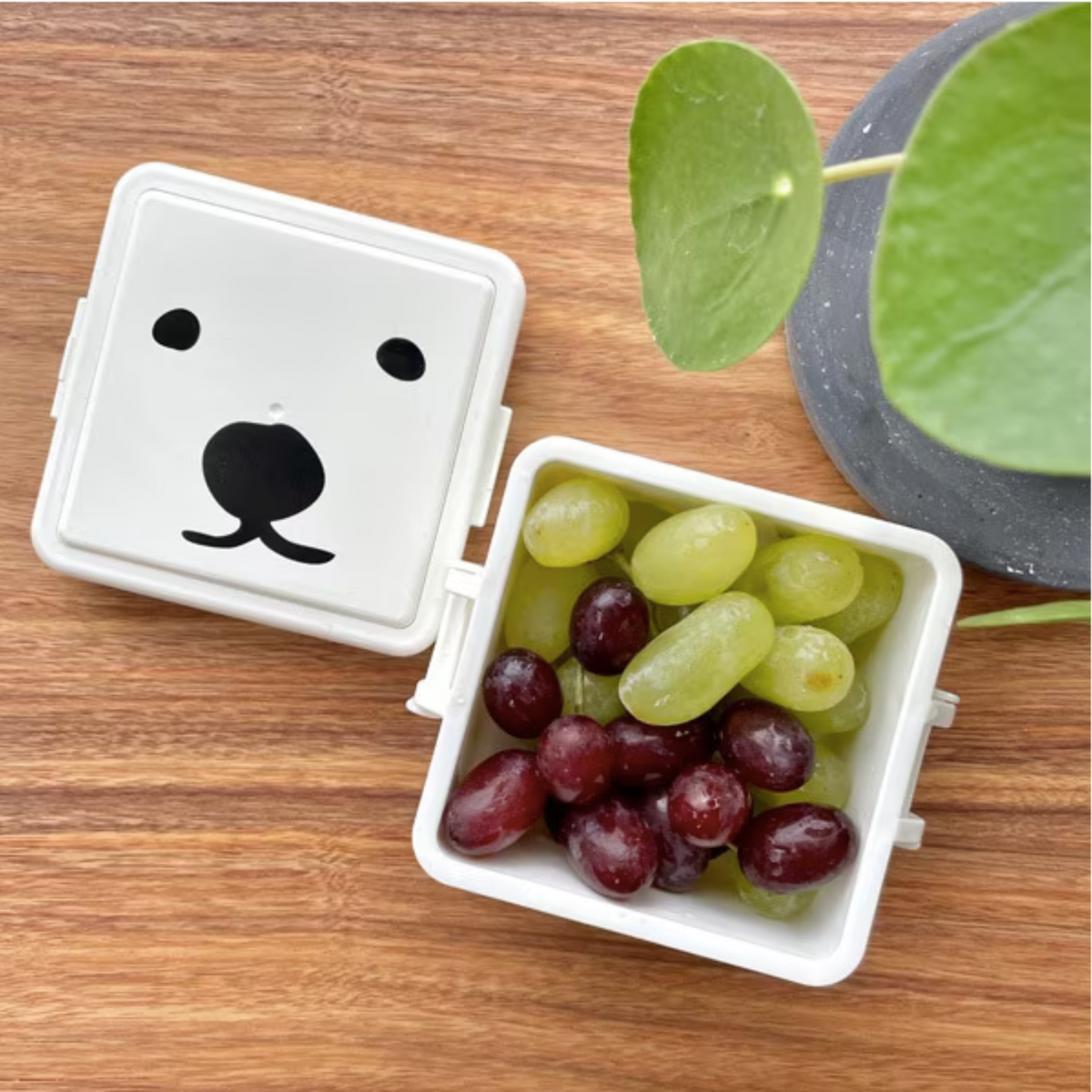 GEL-COOma Bento Box Small open with red and green grapes on wooden table
