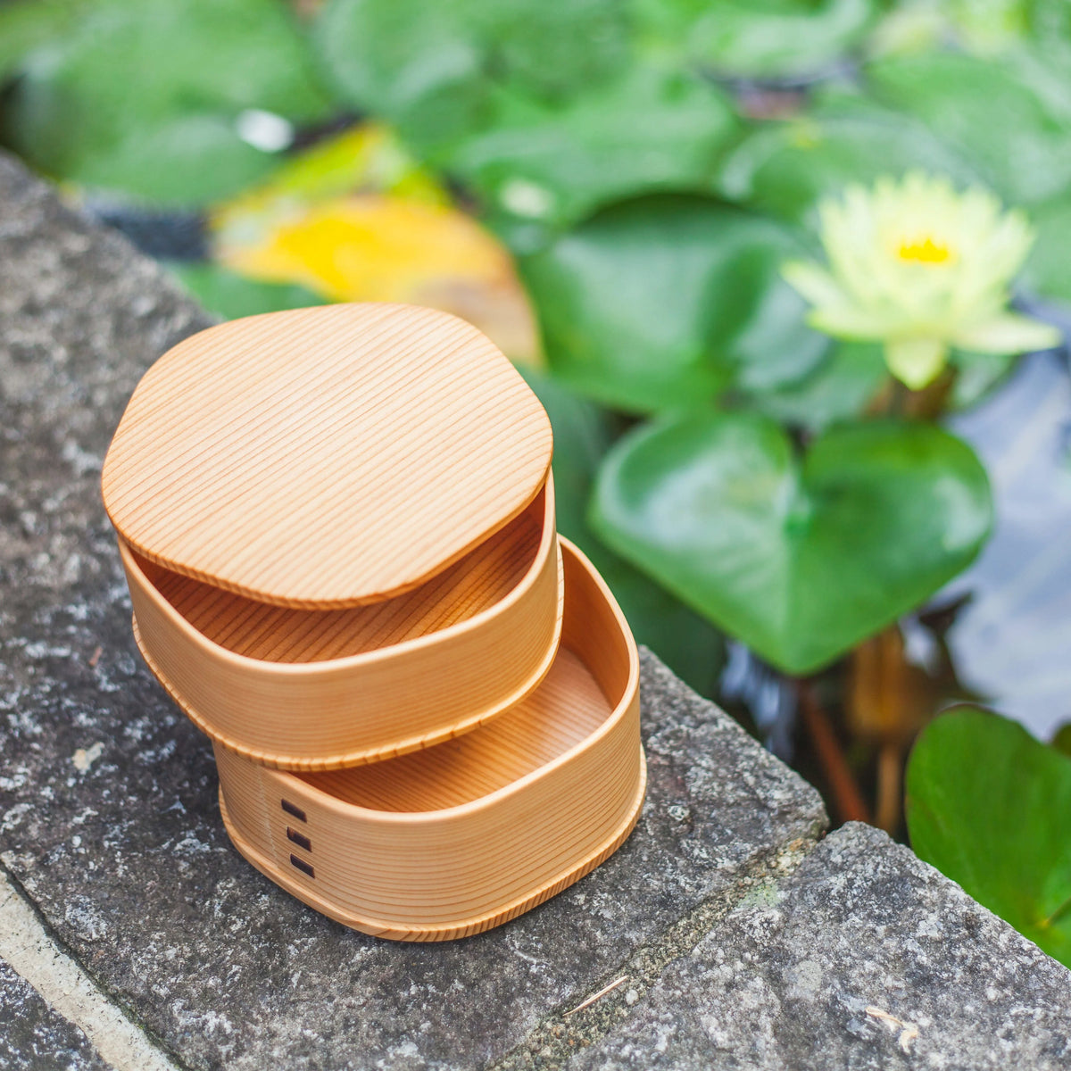 Bento&co