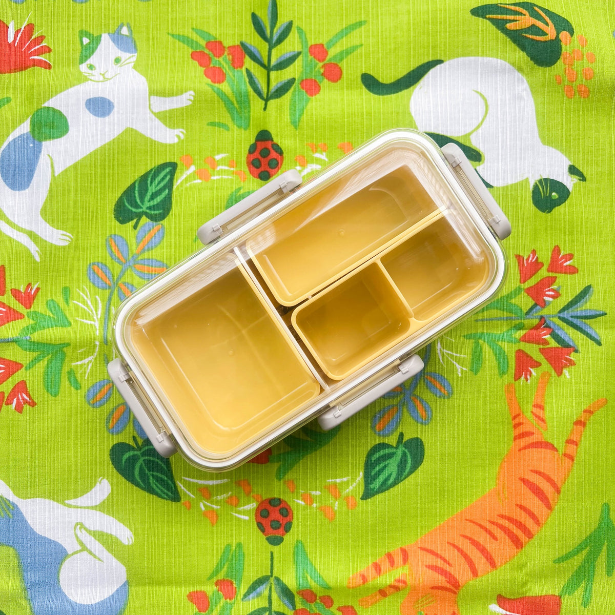 Beige Shikiri Slim Bento Box with a secure silicone-sealed lid