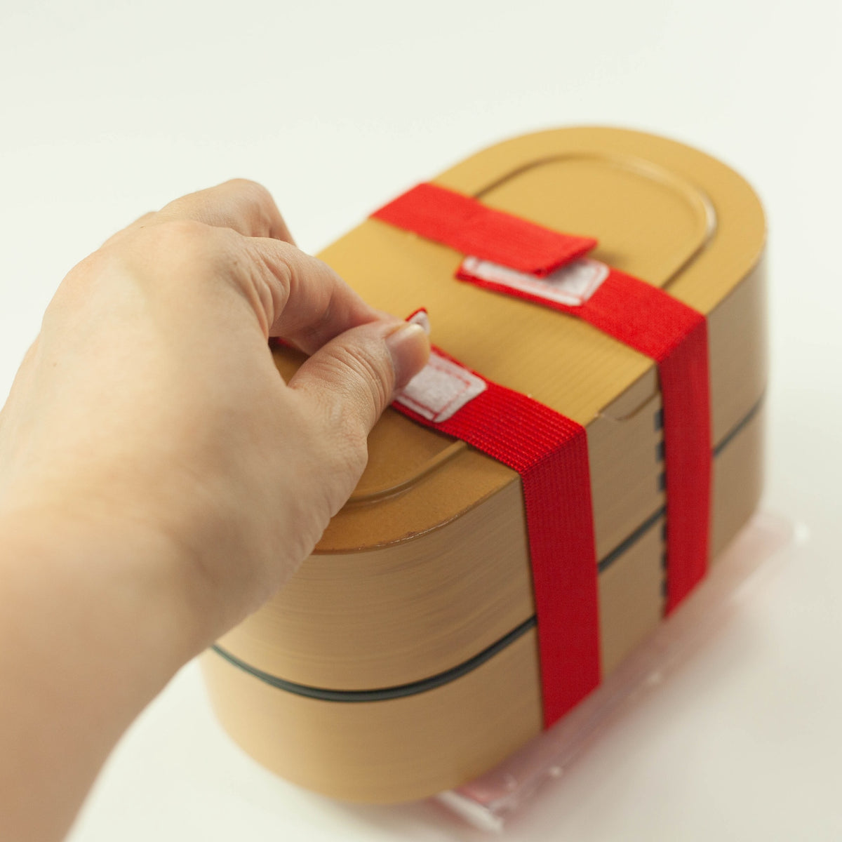 Ice Pack and Lunch Band Set, snack-themed bento cooler with adjustable velcro lunch band
