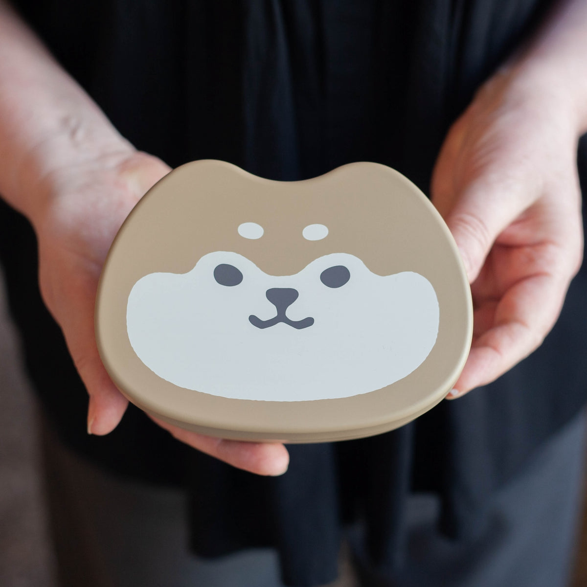 Animal Friends Bento Box | Shibainu