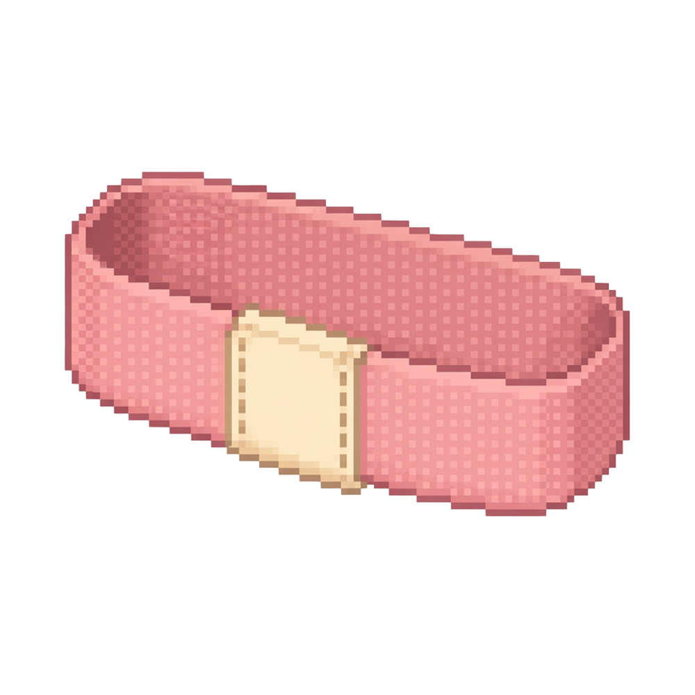 Lunch Bands