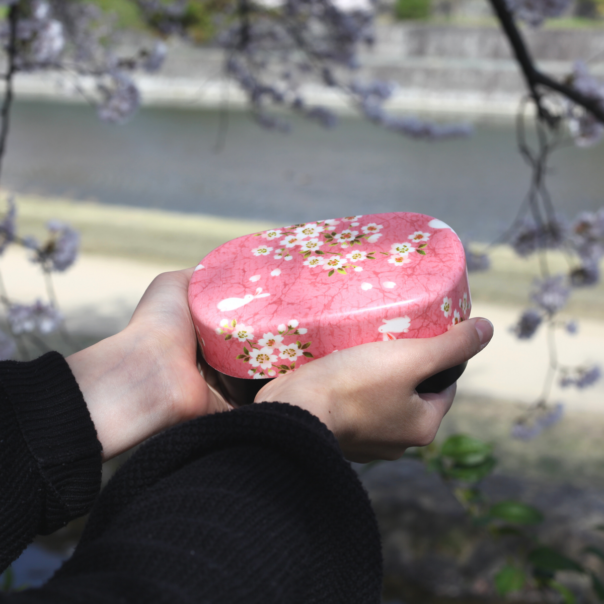 Sakura Usagi Bento Box 570mL with cherry blossom and rabbit pattern, available in red and pink