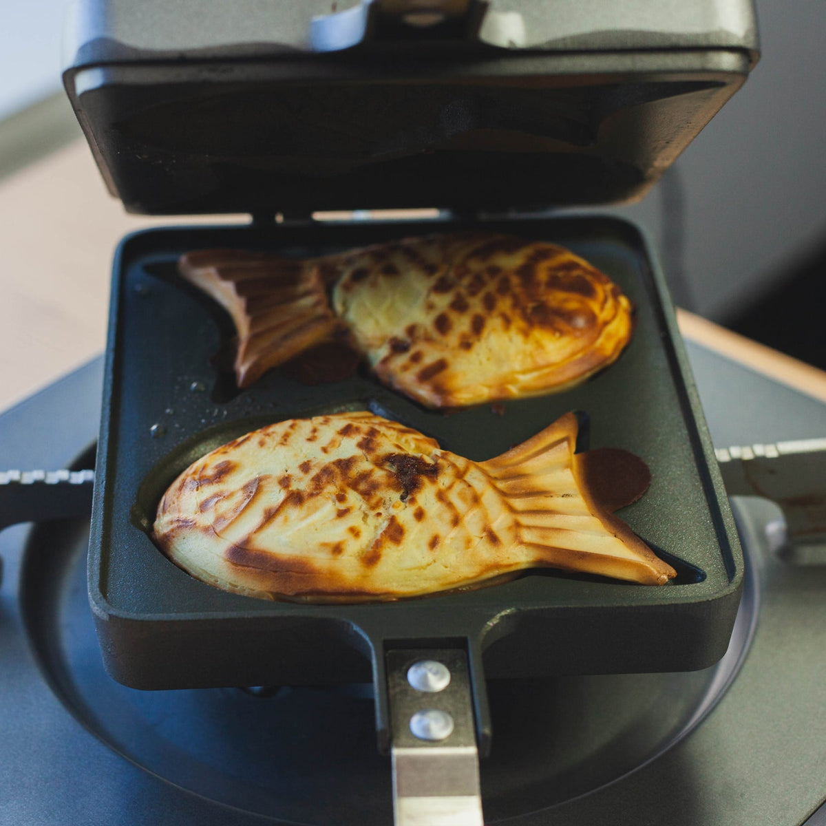 Taiyaki Pan